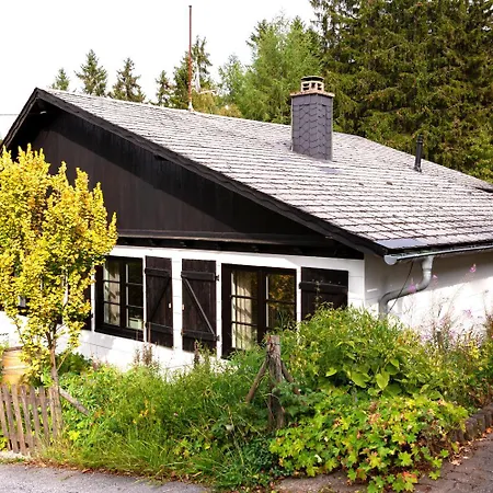 Komfort-ferienhaus Waldchalet - Ideal Für Saunaliebhaber Willingen (Upland)