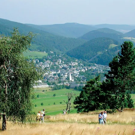 Komfort-ferienhaus Waldchalet - Ideal Für Saunaliebhaber * Willingen (Upland)