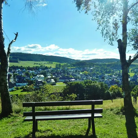 Komfort-ferienhaus Waldchalet - Ideal Für Saunaliebhaber Сasa de vacaciones Willingen (Upland)